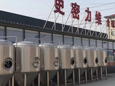 涵江精酿啤酒设备厂—如何判断精酿啤酒设备的密封件需要更换？